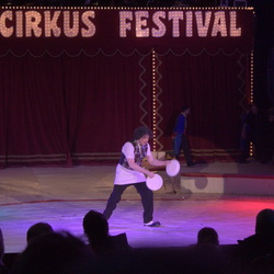 Cirkus cirkus festival