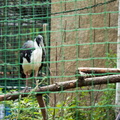 IMG_0008.jpg