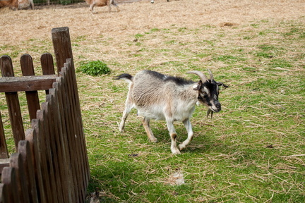 IMG_0049.jpg