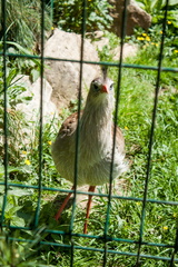 IMG_0059.jpg