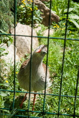 IMG_0061.jpg