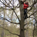 IMG 7467 001